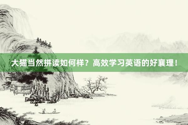 大猫当然拼读如何样？高效学习英语的好襄理！